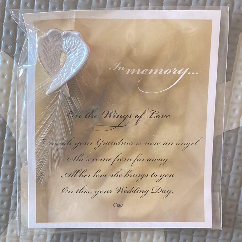 Silver Wings Brooch 